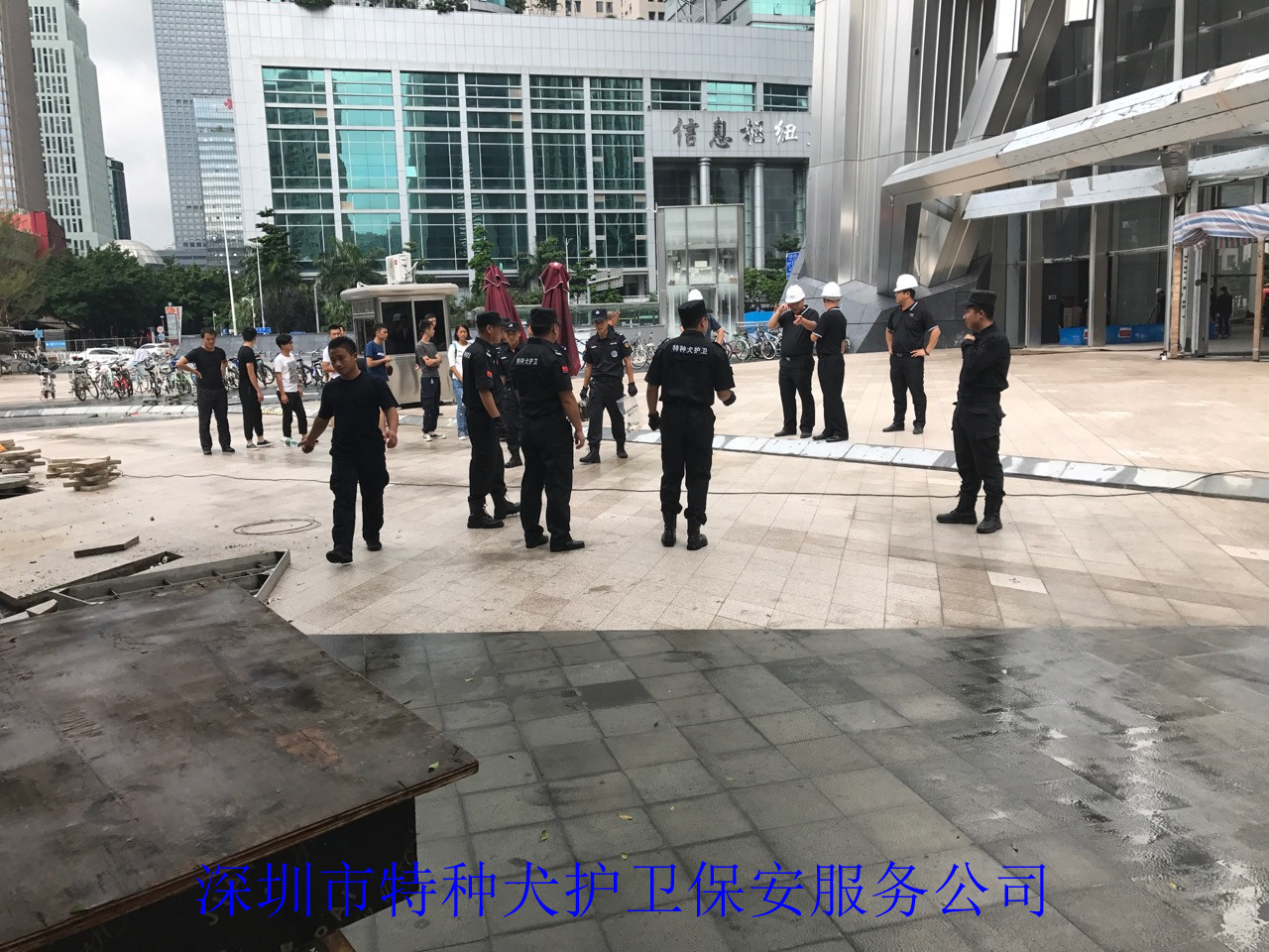 香港今晚开现场直播下载