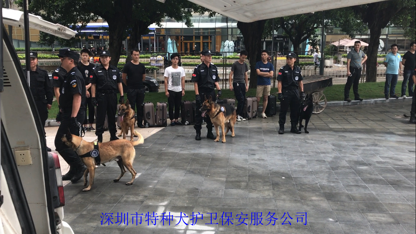 香港今晚开现场直播下载