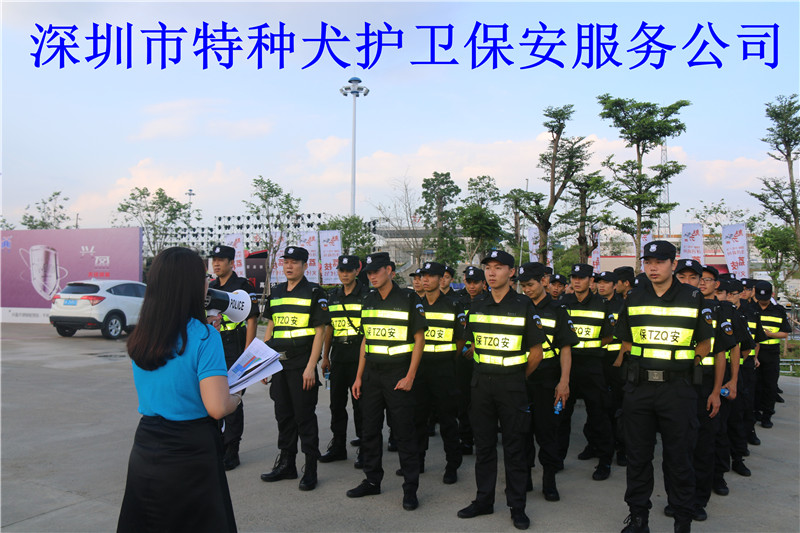 香港今晚开现场直播下载