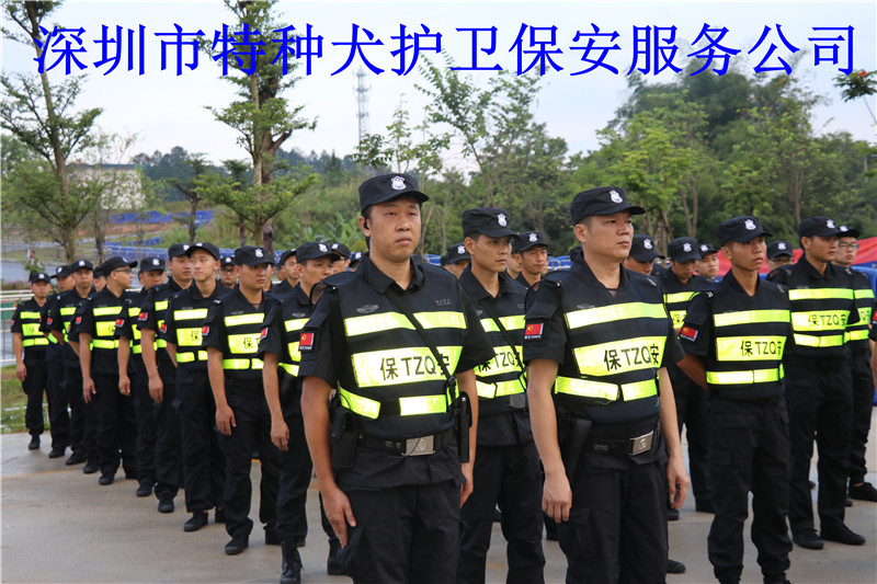 香港今晚开现场直播下载