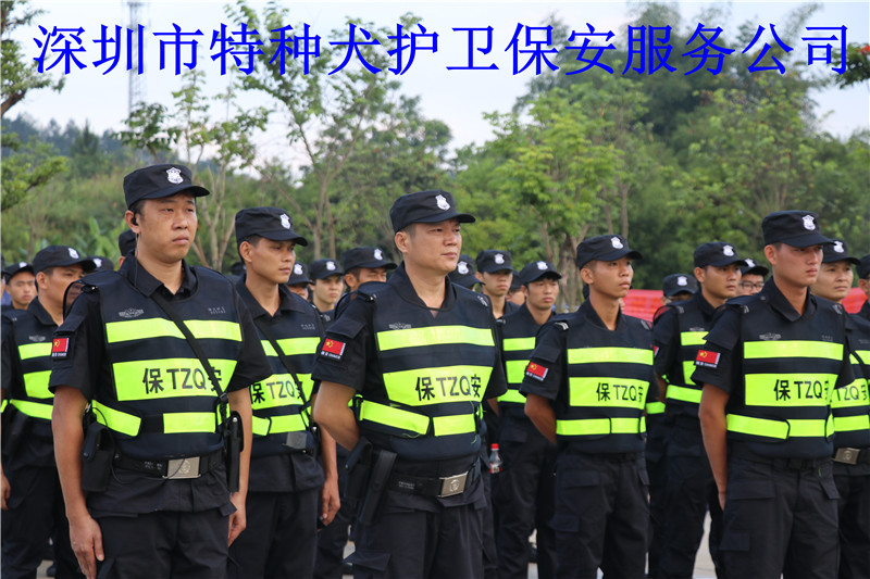 香港今晚开现场直播下载