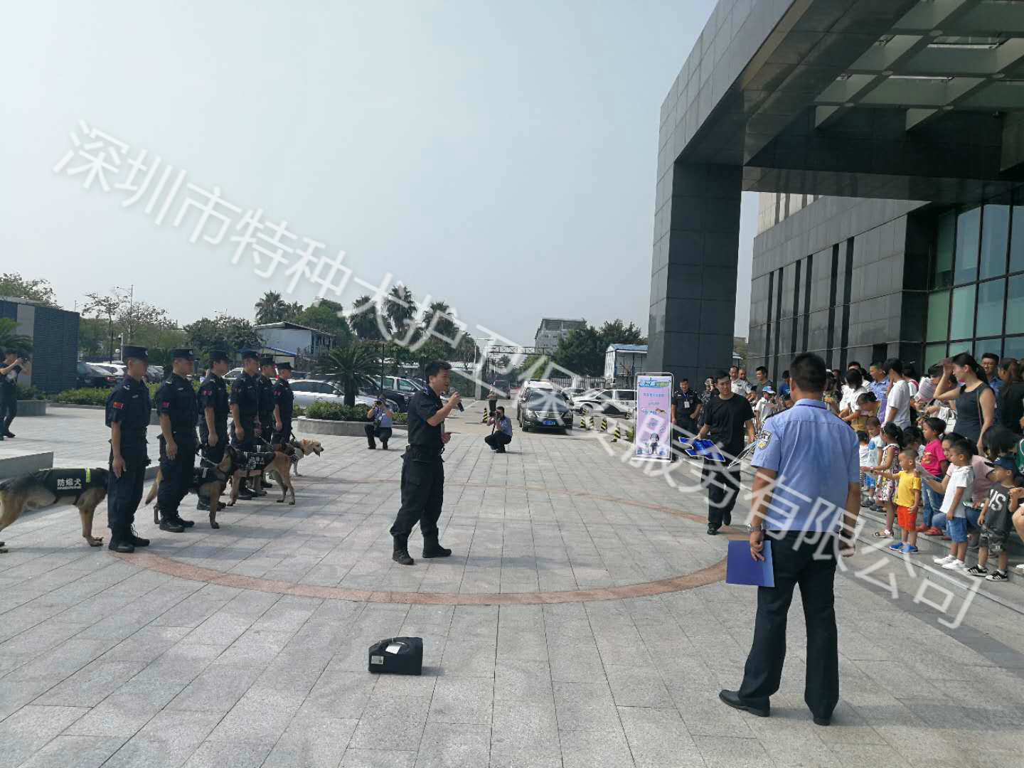 香港今晚开现场直播下载