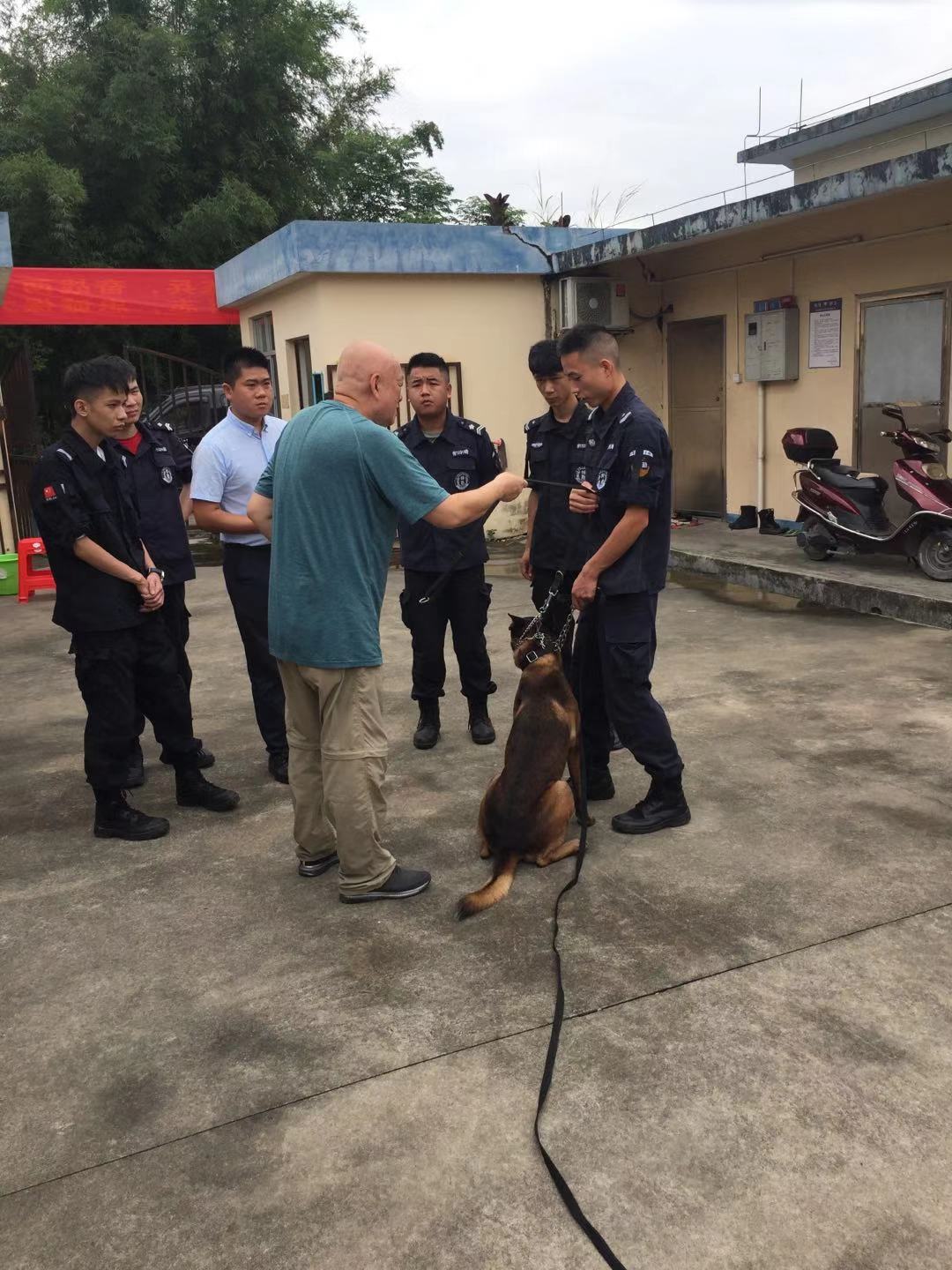 香港今晚开现场直播下载