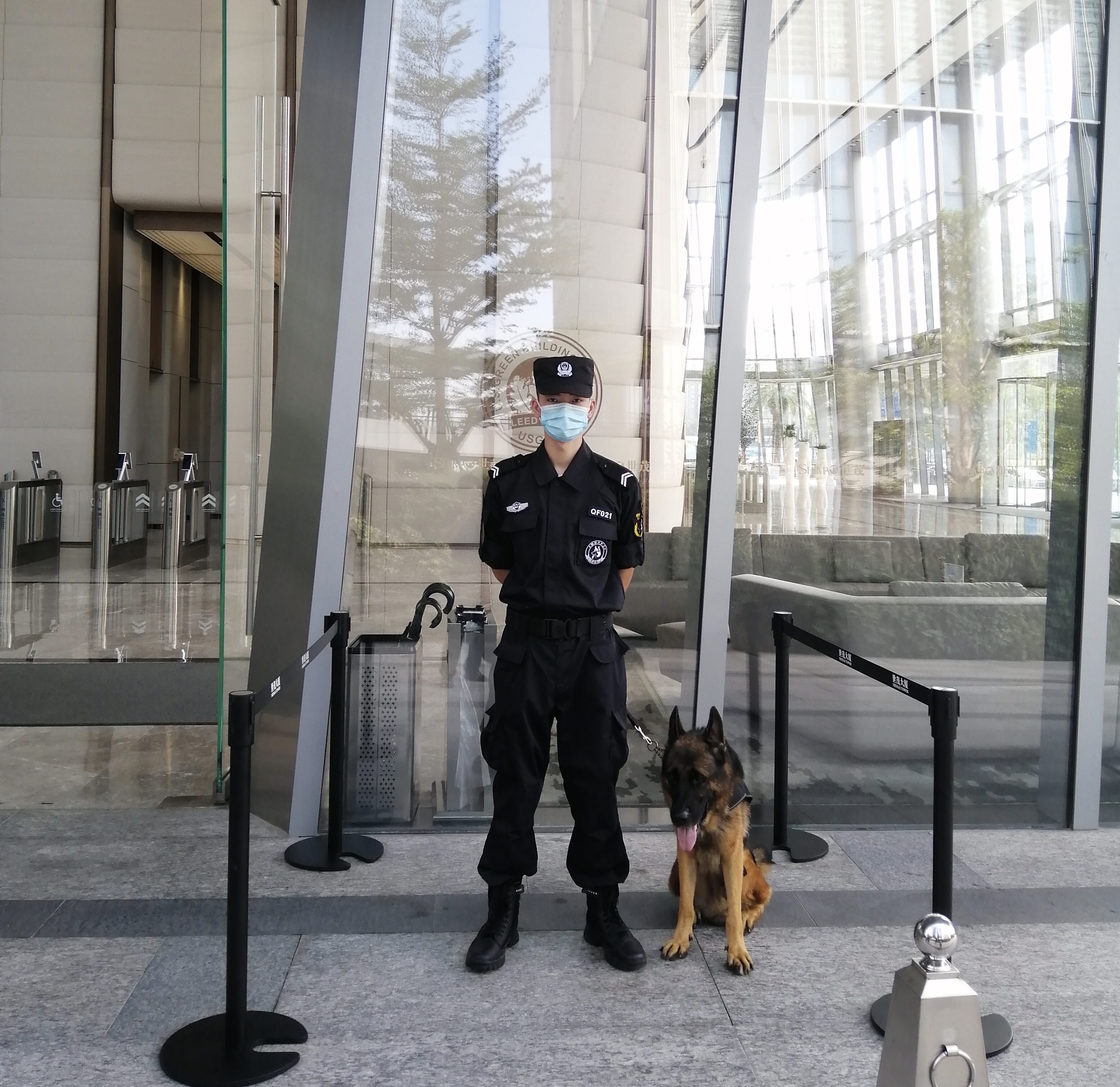 香港今晚开现场直播下载