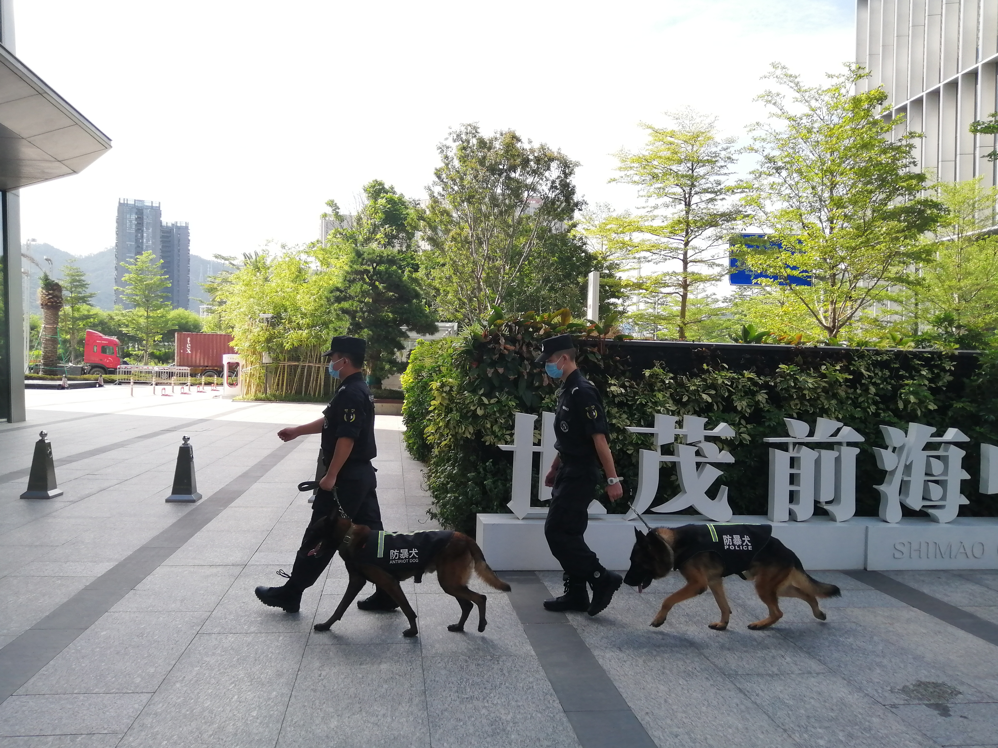 香港今晚开现场直播下载